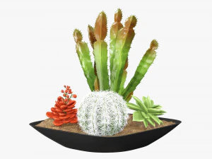 Decorative plant composition 01 3D Model