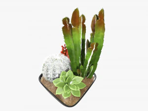 Decorative plant composition 01 3D Model