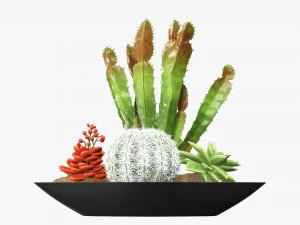 Decorative plant composition 01 3D Model