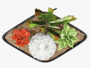 Decorative plant composition 01 3D Model