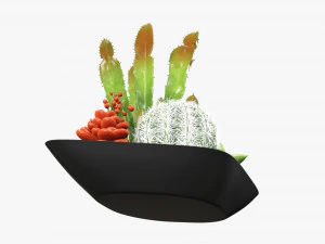 Decorative plant composition 01 3D Model