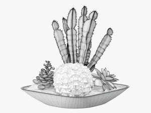Decorative plant composition 01 3D Model