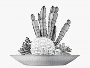 Decorative plant composition 01 3D Model