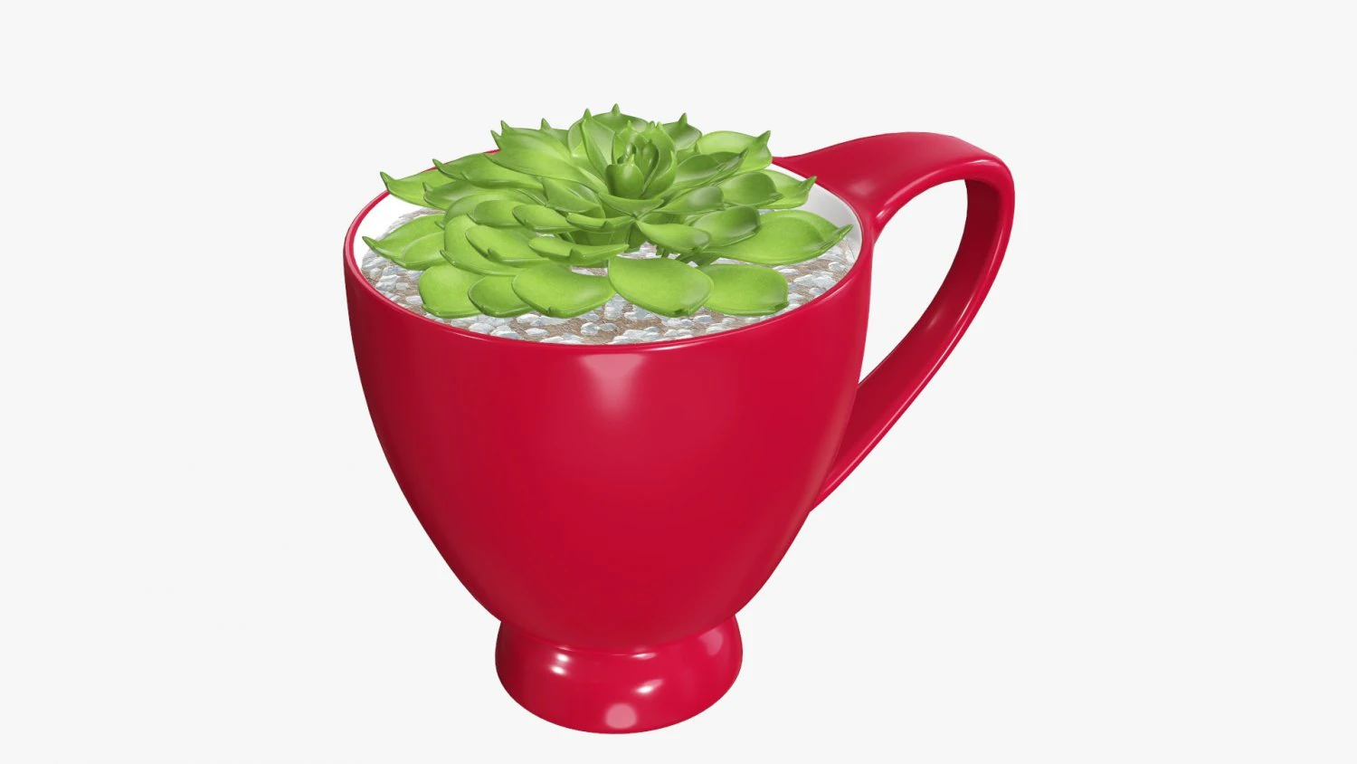 Decorative plant in cup 3D Model .c4d .max .obj .3ds .fbx .stl .blend