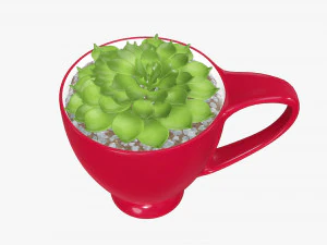 Decorative plant in cup 3D Model
