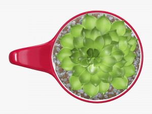 컵에 장식적인 식물 3D 모델