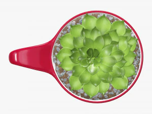 Decorative plant in cup 3D Model