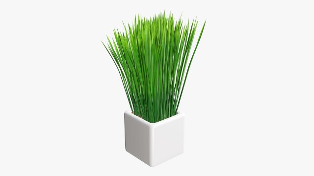 Decorative potted long grass Modelo 3D .c4d .max .obj .3ds .fbx .stl .blend 