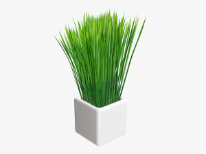 Decorative potted long grass 3D Model