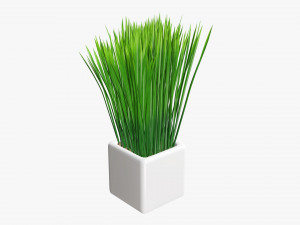 Decorative potted long grass Modelo 3D