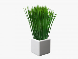 Decorative potted long grass Modelo 3D