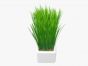 Decorative potted long grass Modelo 3D