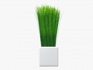 Decorative potted long grass Modelo 3D