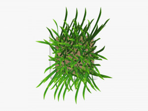 Decorative potted long grass Modelo 3D