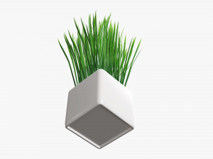 Decorative potted long grass Modelo 3D