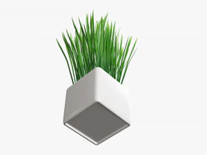 Декоративная длинная трава в горшках 3D Модель