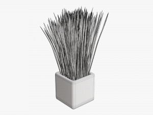 Decorative potted long grass Modelo 3D