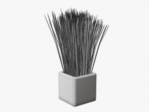 Decorative potted long grass Modelo 3D