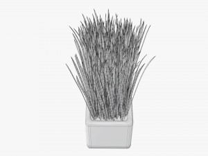 Decorative potted long grass Modelo 3D