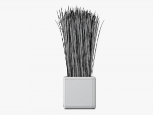 Decorative potted long grass Modelo 3D