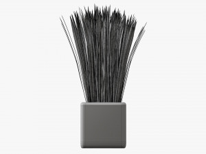 Decorative potted long grass Modelo 3D