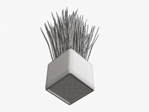 Decorative potted long grass Modelo 3D