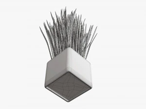 Декоративная длинная трава в горшках 3D Модель