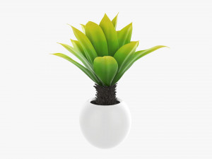 Decorative potted palm 01 3D Model