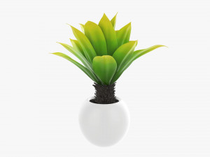 Decorative potted palm 01 Modelo 3D