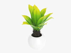 Decorative potted palm 01 3D Model