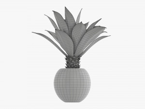 Decorative potted palm 01 Modelo 3D