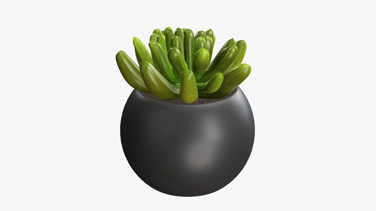 Decorative potted plant 01 3D Model .c4d .max .obj .3ds .fbx .stl .blend