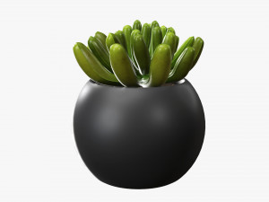 Decorative potted plant 01 Modello 3D