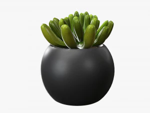 Decorative potted plant 01 3D Model
