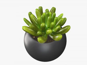 Decorative potted plant 01 3D Model