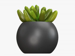 Decorative potted plant 01 3D Model