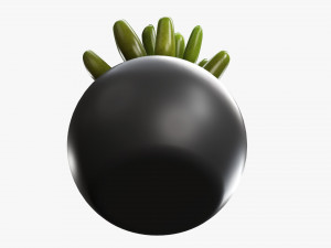 Decorative potted plant 01 Modello 3D