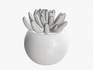 Decorative potted plant 01 Modello 3D
