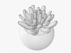 Decorative potted plant 01 Modello 3D