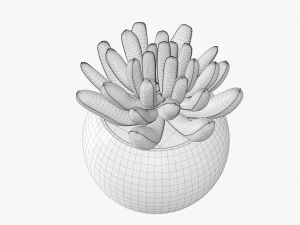 Decorative potted plant 01 3D Model