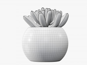 Decorative potted plant 01 Modello 3D