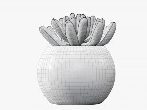 Decorative potted plant 01 3D Model