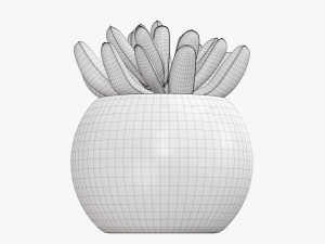 Decorative potted plant 01 Modello 3D