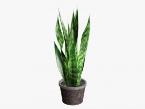 Decorative potted plant 02 Modelo 3D