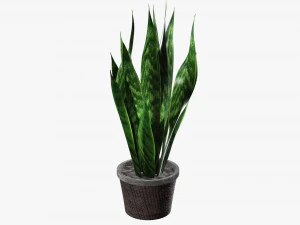 Decorative potted plant 02 3D Model
