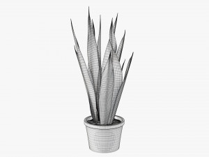 Decorative potted plant 02 Modelo 3D