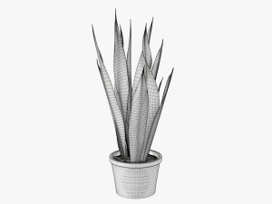 Decorative potted plant 02 3D Model