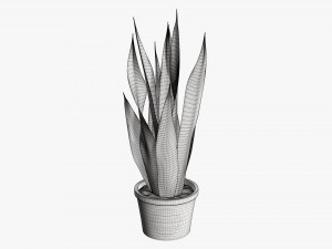 Decorative potted plant 02 Modelo 3D