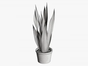 Decorative potted plant 02 3D Model