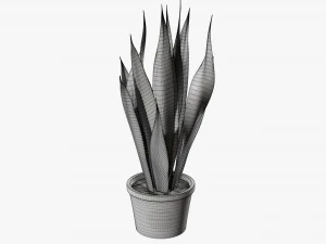 Decorative potted plant 02 3D Model